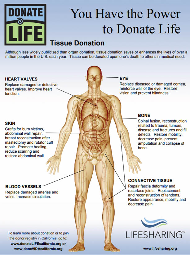 Tissue Donation Infographic